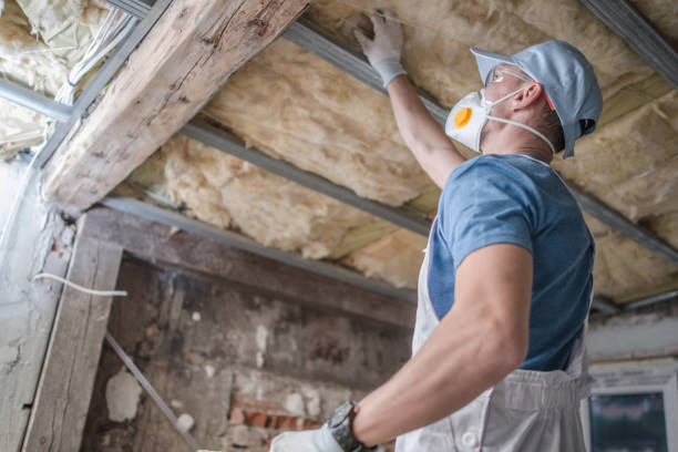 Best DIY Insulation Kits and Guidance in Brookdale, NJ